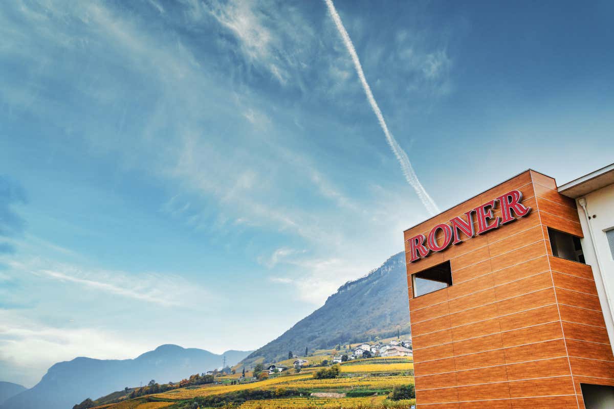 Il segreto della grappa Roner: come nasce la Gewürztraminer Riserva Il segreto della grappa Roner: come nasce la Gewürztraminer Riserva