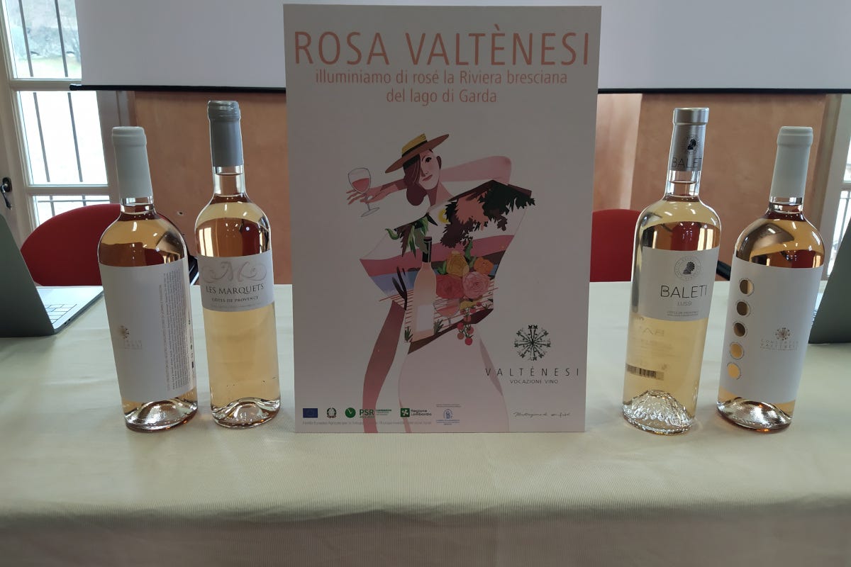 Sinergia tra Provenza e Valtènesi con Rosé connection Italia e Francia unite nel vino, nasce Rosé connection