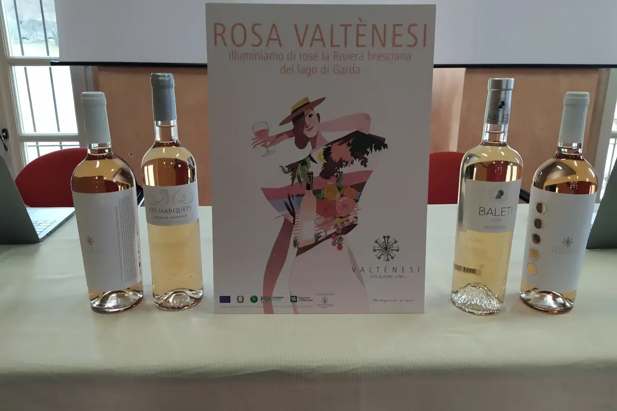 Sinergia tra Provenza e Valt&egrave;nesi con Ros&eacute; connection Italia e Francia unite nel vino, nasce Ros&eacute; connection