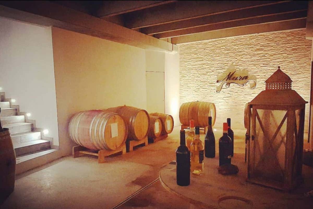 Piatti emiliani e vini sardi: la contaminazione gourmet che conquista il palato