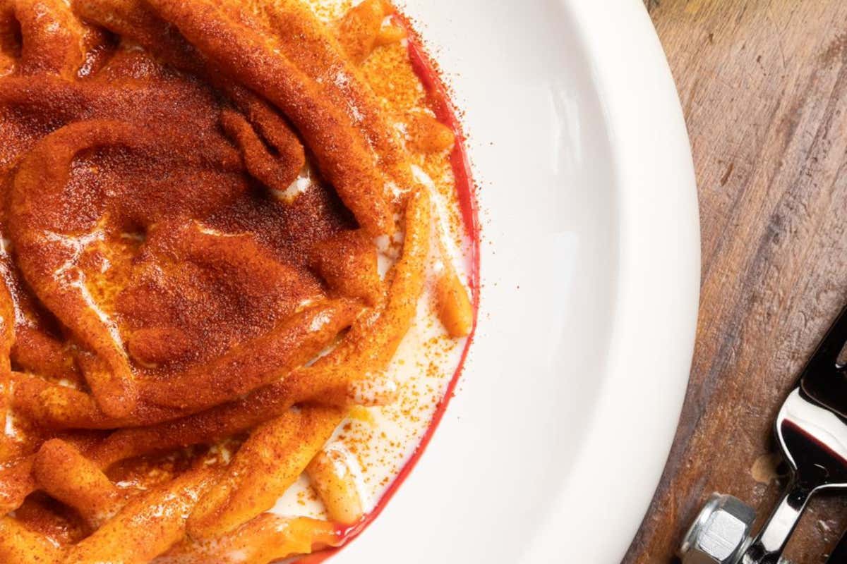 Rosso Vignale a Canepina: dove la Tuscia si siede a tavola senza fronzoli