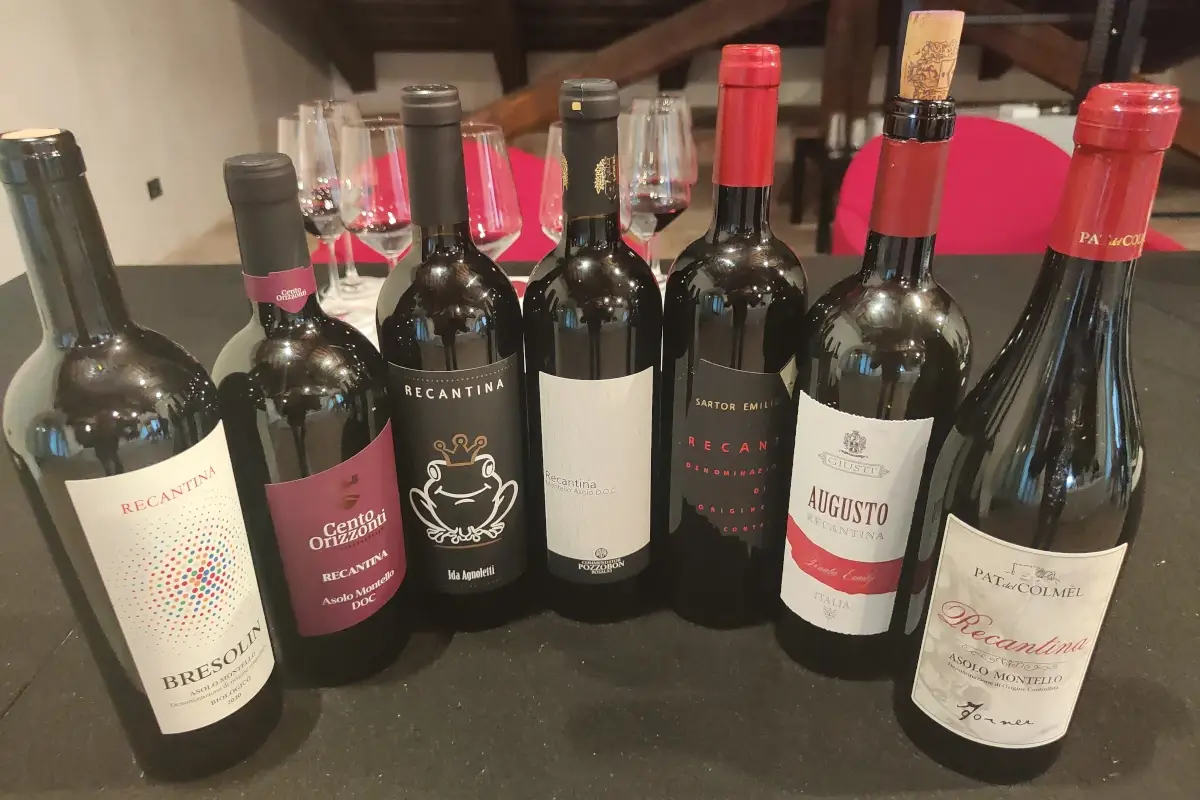 Alcune delle etichette in degustazione a Rossobord&ograve; Rossobord&ograve;, buona la prima: in mostra i vini del Montello e dei Colli Euganei