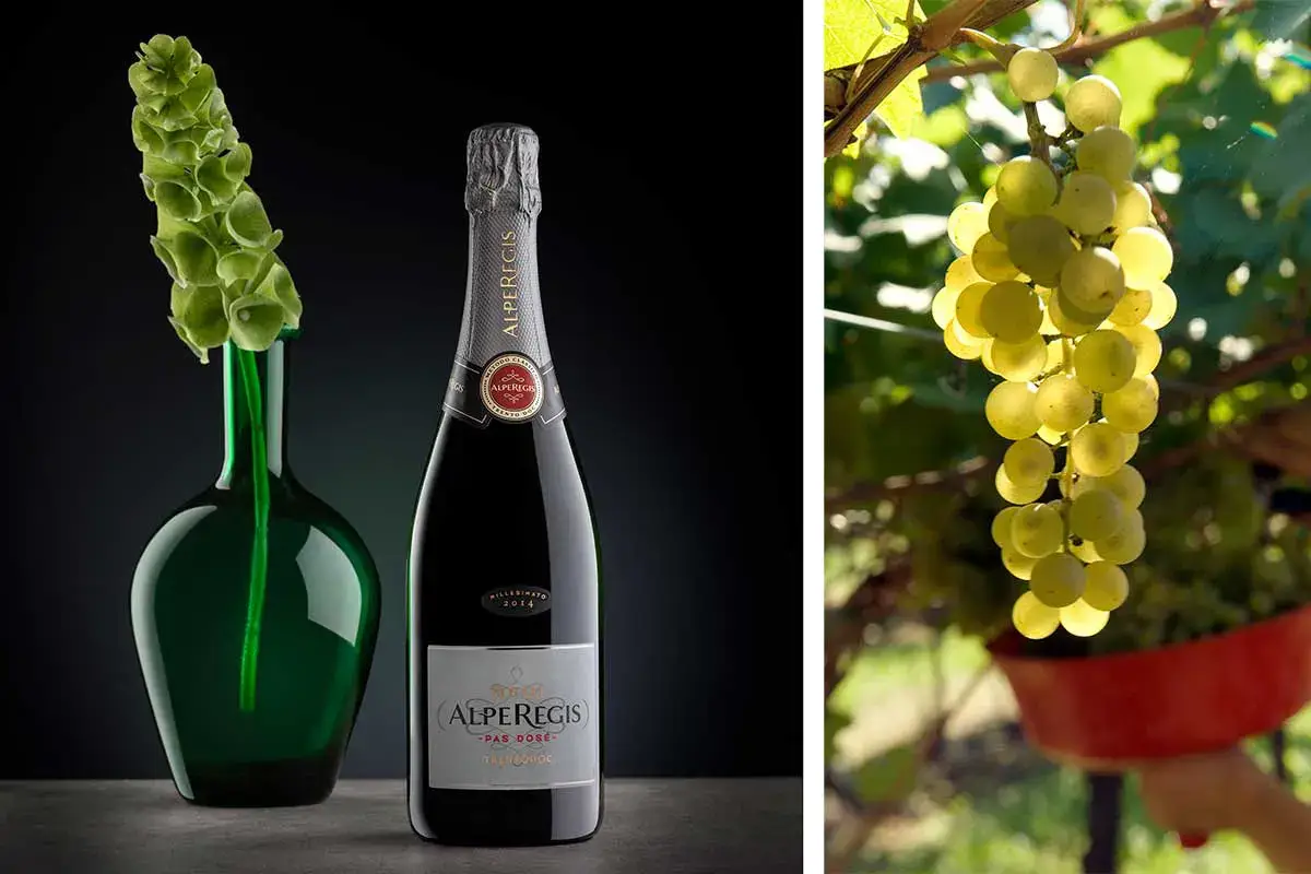 Trentodoc AlpeRegis Pas Dos&eacute; Rotari Trentodoc, una storia da scoprire