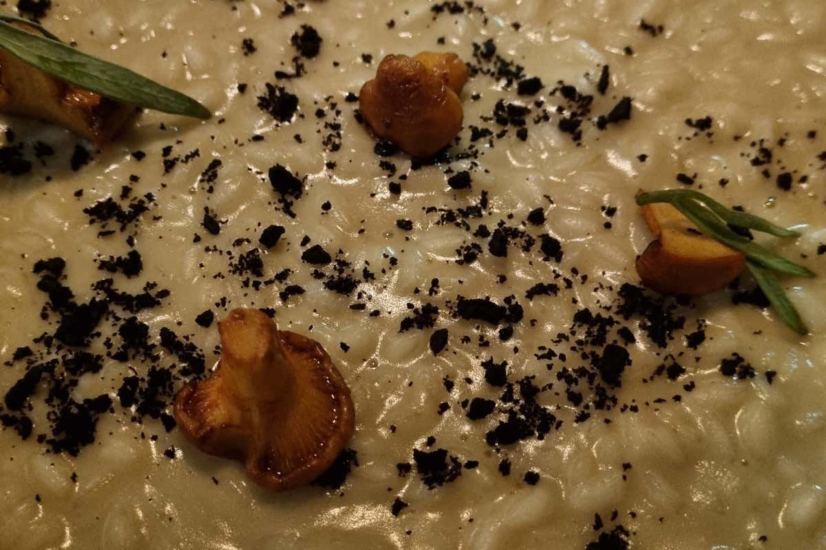 Musa, nuove location di lusso sul lago di Como