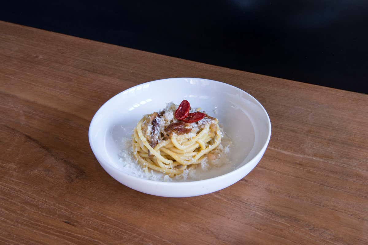 Tonnarelli alla Matriciana A Milano apre Rua, omaggio sofisticato alla cucina regionale d’Italia