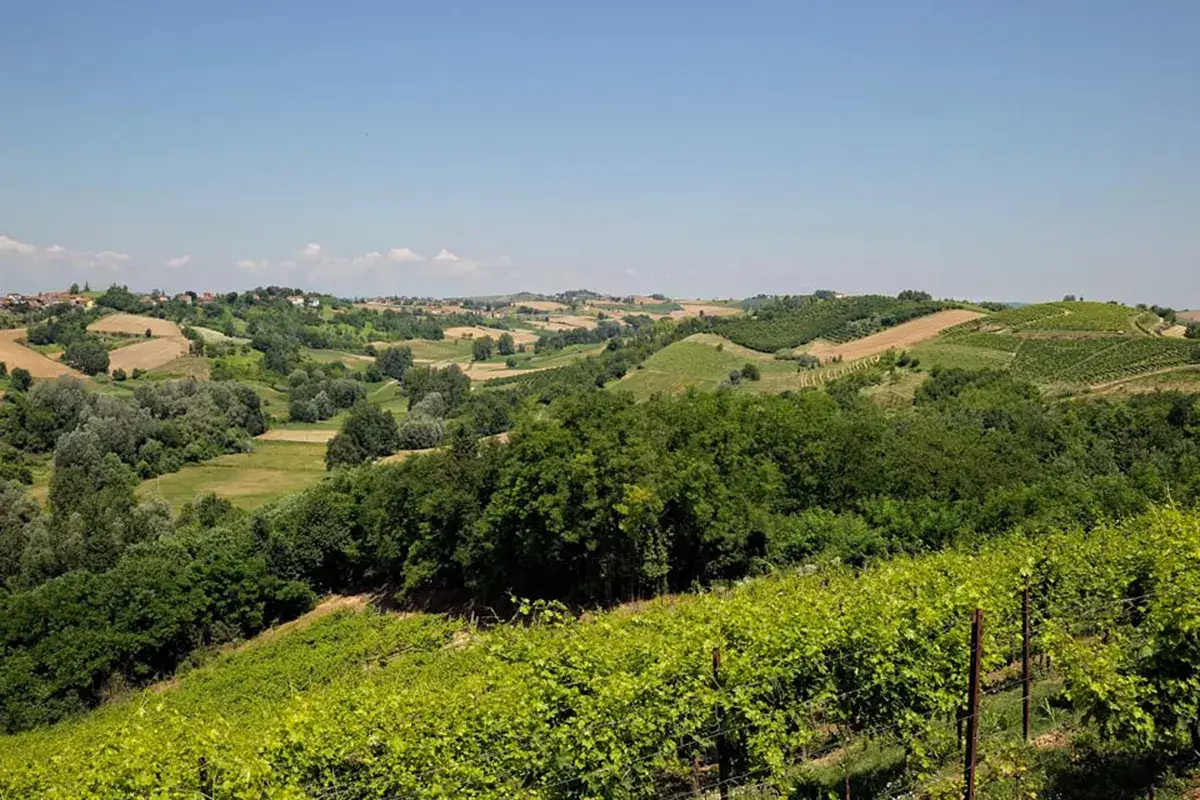 Le colline astigiane Ruch&egrave; di Castagnole Monferrato, una degustazione d'eccezione