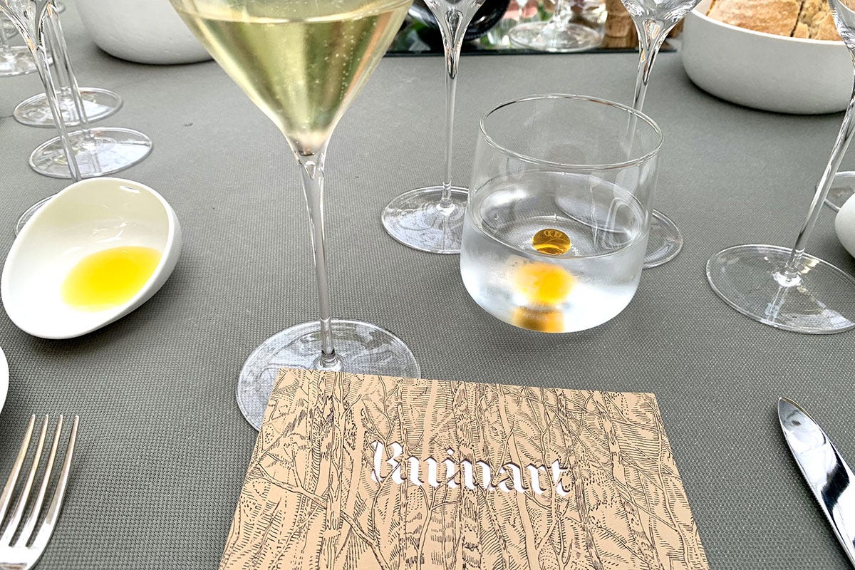 Champagne Maison Ruinart: un viaggio tra arte, sapori e sostenibilità 