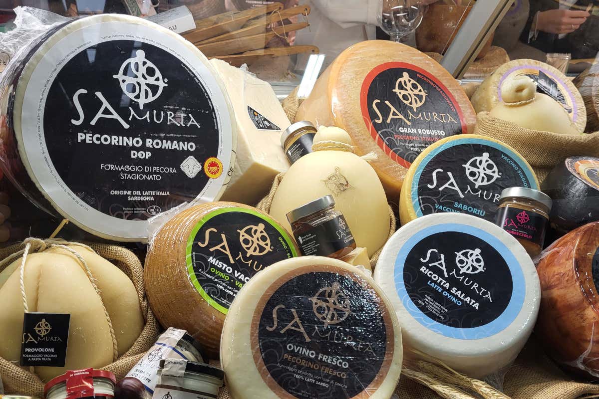 I formaggi di Sa Murta  Sa Murta porta in tavola il meglio dei formaggi sardi