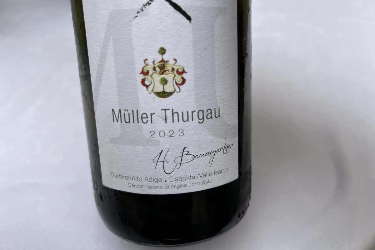 Sabiona24, alla scoperta dei vini bianchi della Valle Isarco Sabiona24, alla scoperta dei vini bianchi della Valle Isarco