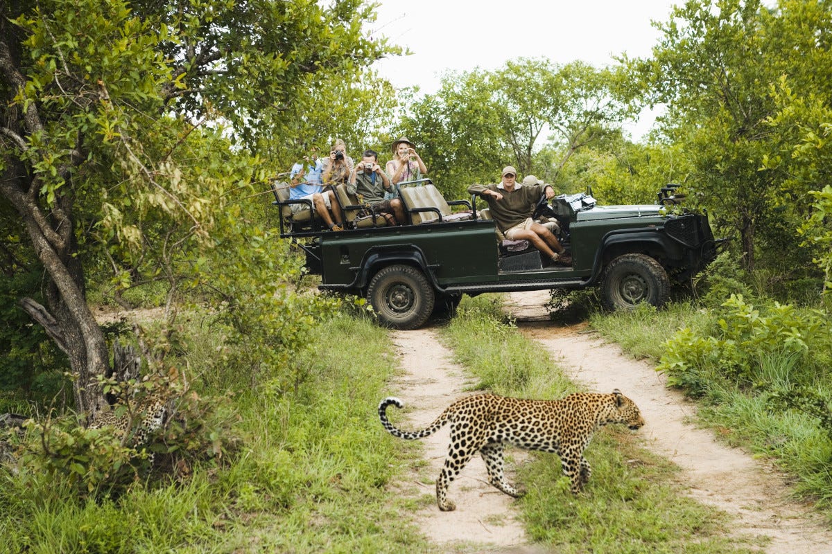 Evolution Travel propone emozionanti safari al parco nazionale Kruger Mozambico (da finire)