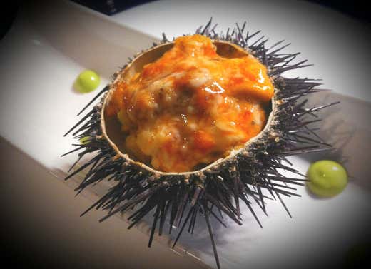 ...saggio di Sicilia ...saggio di Sicilia