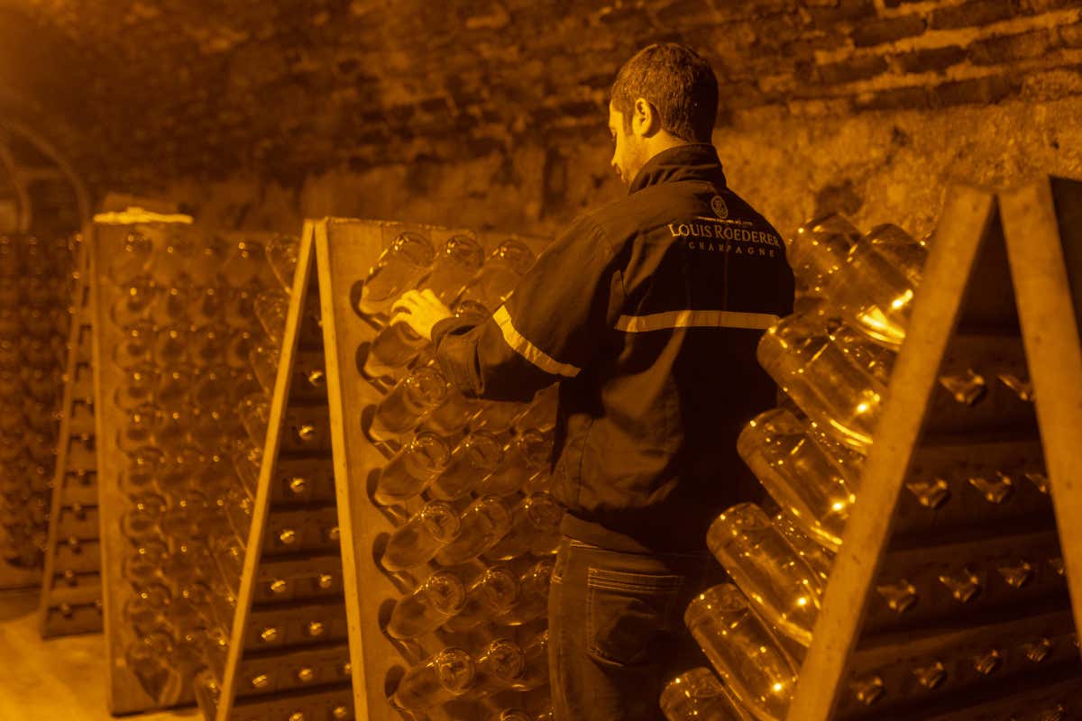 Le cantine di Louis Roederer, dove i millesimati della maison sostano almeno 4 anni sui lieviti