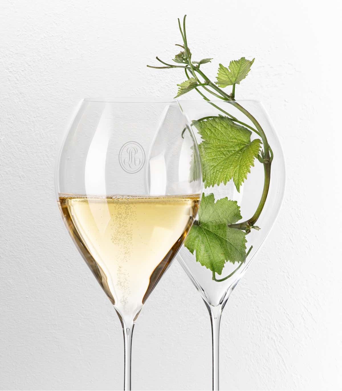 Collection 246 è uno champagne fresco, dinamico e aereo