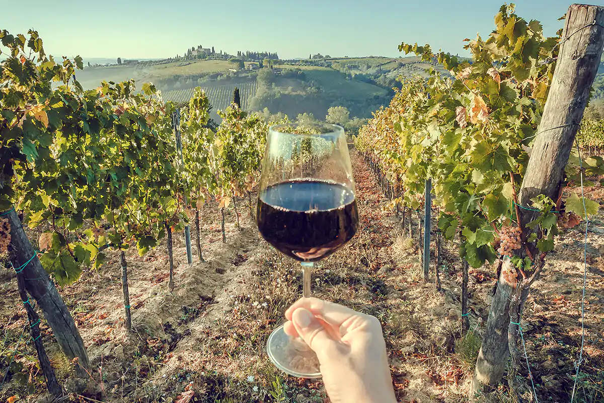 Nel 1992 viene istituita la Docg Montefalco Sagrantino Montefalco Sagrantino si racconta: oltre la certificazione c'&egrave; di pi&ugrave;