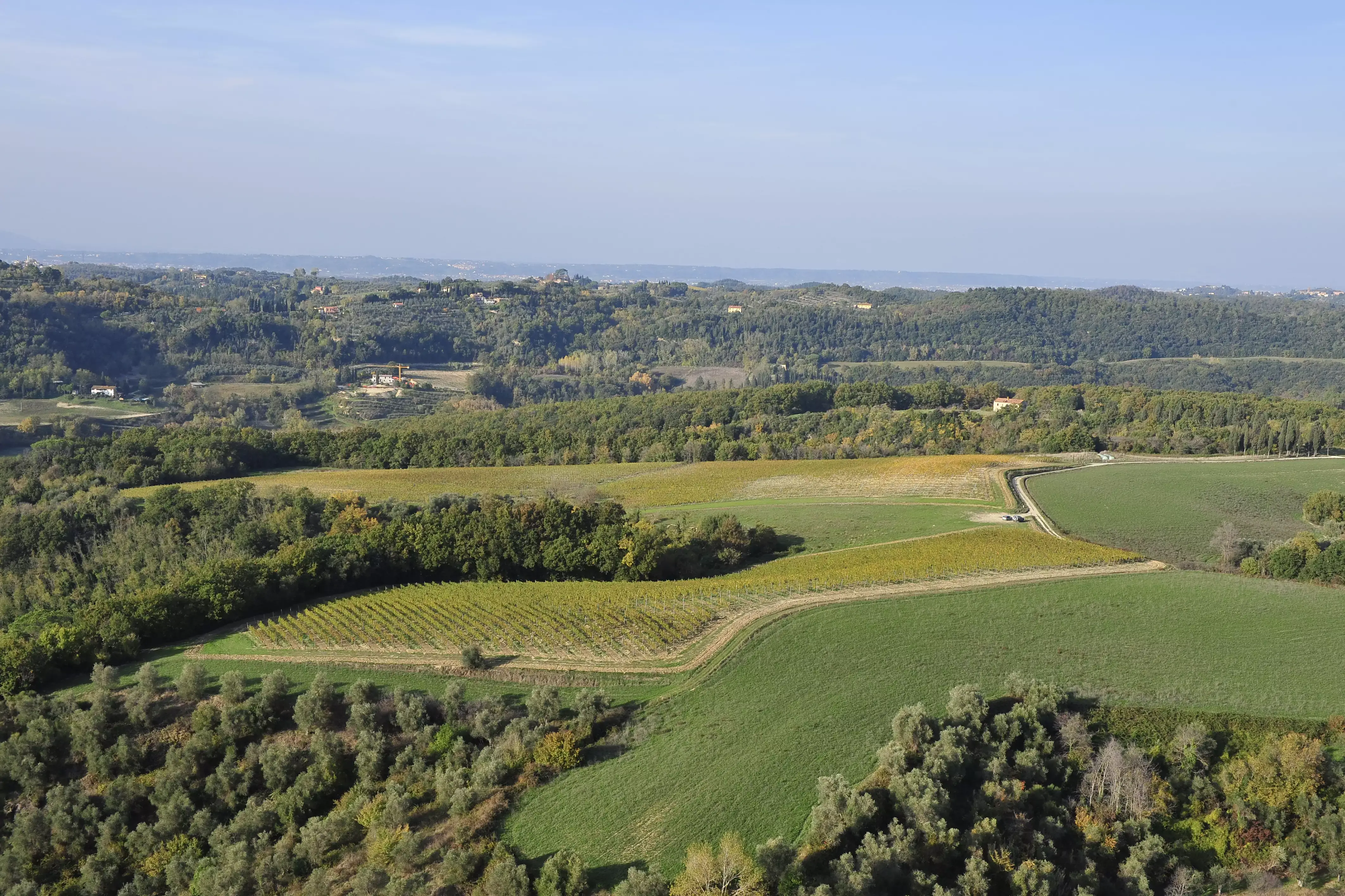 Villa Saletta: il territorio Villa Saletta, un mosaico di matrice agroalimentare