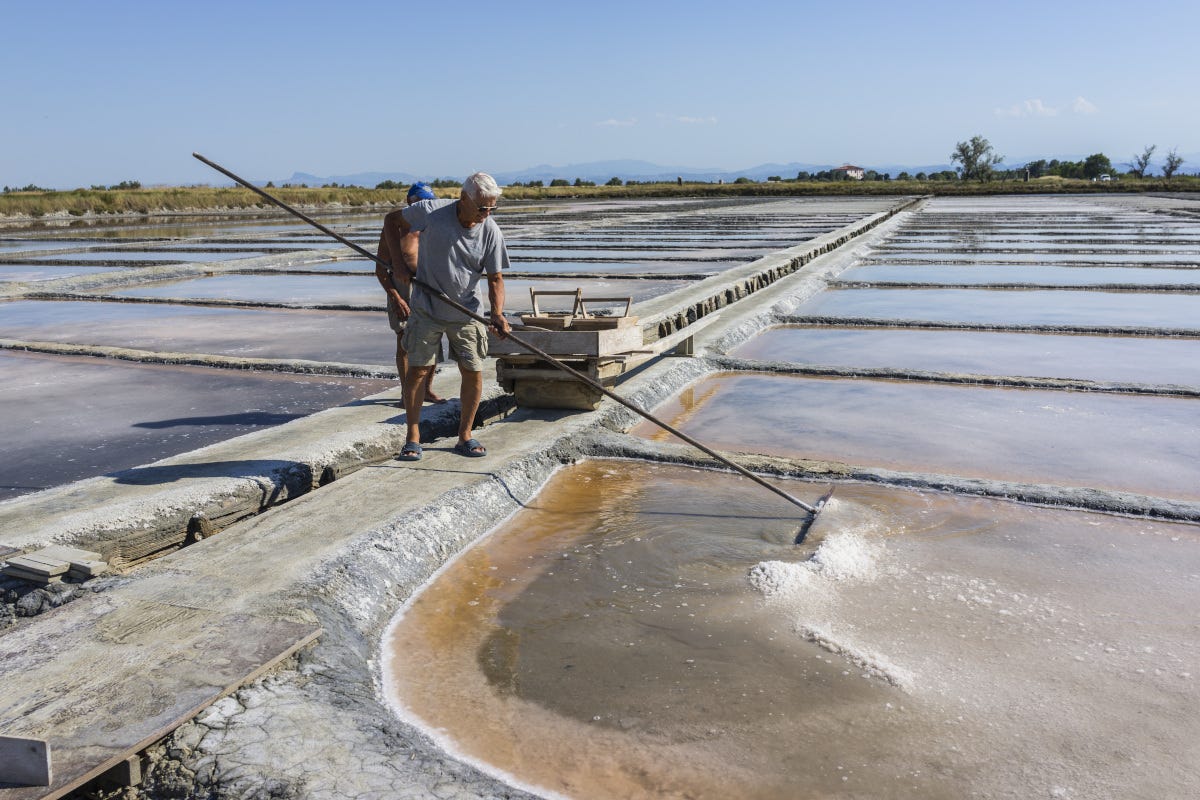 Le Saline di Cervia prima dell'alluvione Saline di Cervia allagate a rischio la raccolta 2023 del sale amato da chef e pasticceri