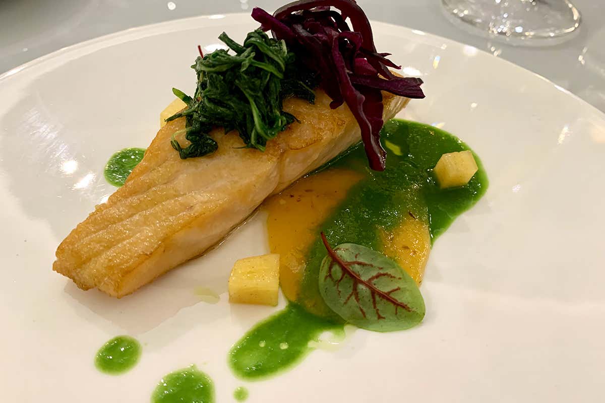 Salmone scozzese, salsa cachi e mizuna Sina Chef’s Cup Contest: vince Riccardo Agostoni