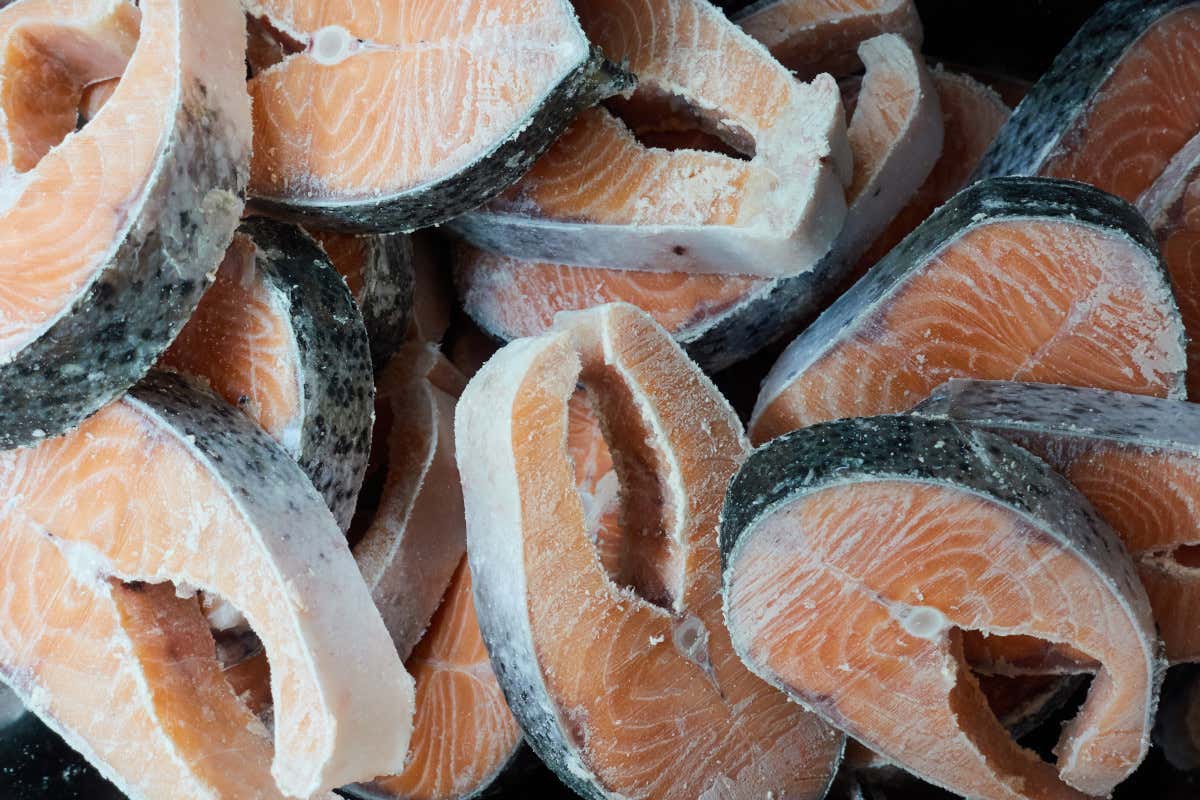 Tranci di salmone surgelati&nbsp; Sicuro economico versatile: gli italiani a Natale scelgono il pesce surgelato