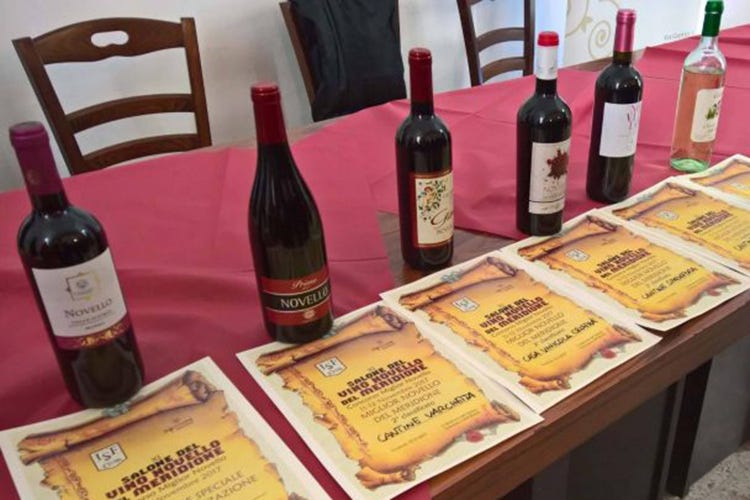 Vini novelli premiati ad una recente edizione del Salone (Salone del vino novello A Cosenza la vendemmia 2019)