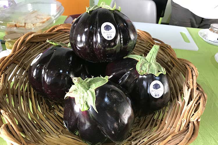 (Il Salone del Gusto Siciliano cresce 60% di espositori a MedinFood) (Il Salone del Gusto Siciliano cresce 60% di espositori a MedinFood)