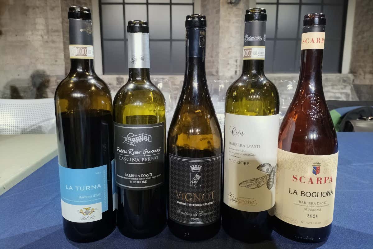 Barbera e Nebbiolo, vini in evoluzione nel Monferrato (fra freschezza e finezza)