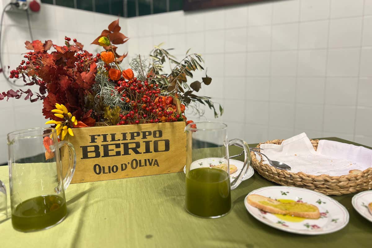 L'olio del gruppo Salov sinonimo di sostenibilità e buona cucina