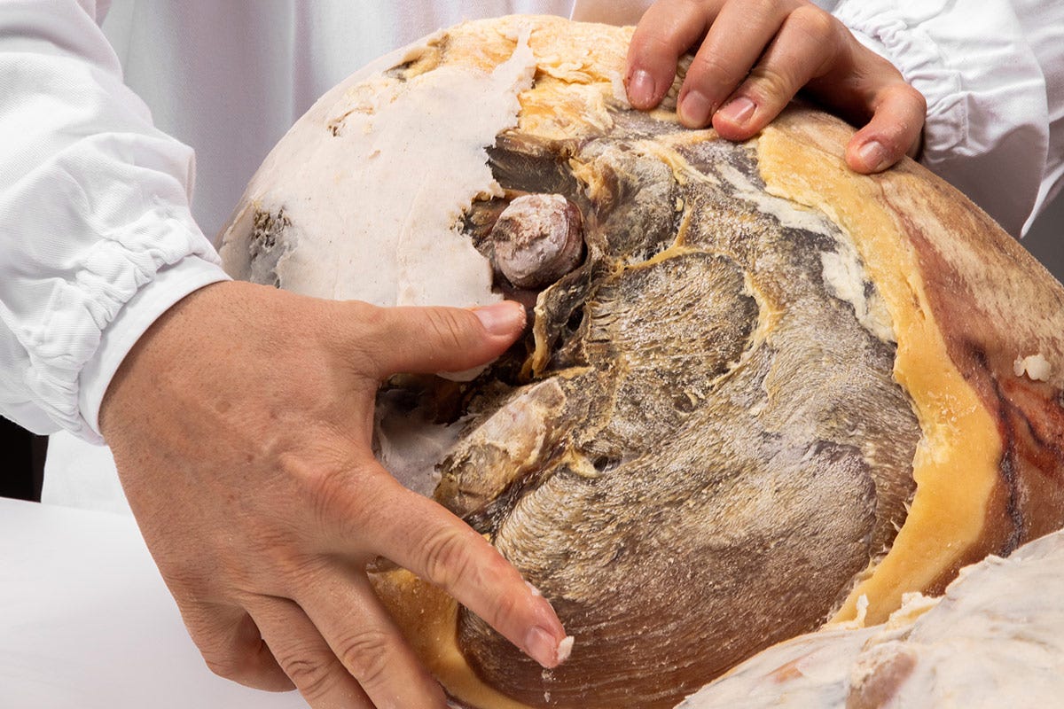La sugnatura del prosciutto Salumificio San Michele insegna l’arte del Prosciutto di Parma negli Usa