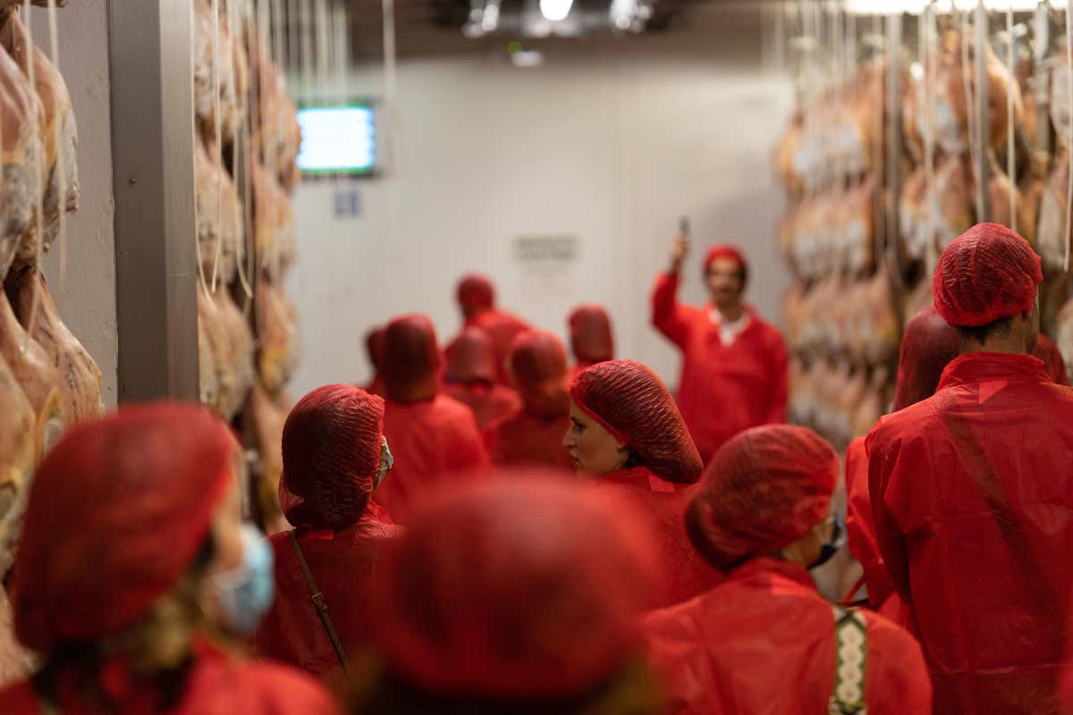 Un momento della visita Le 4 stagioni del Prosciutto di Parma con il Salumificio San Michele Un momento della visita Le 4 stagioni del Prosciutto di Parma con il Salumificio San Michele