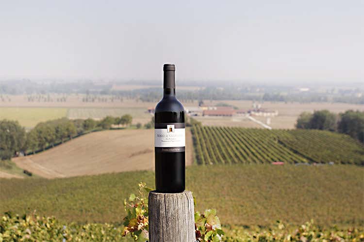 Il Rosso di Valbissera