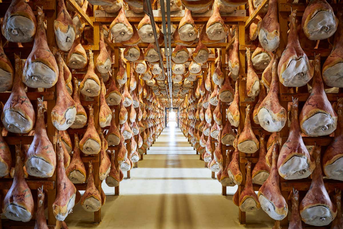 “Aria di San Daniele” a Roma: un tour del gusto tra storia e tradizione