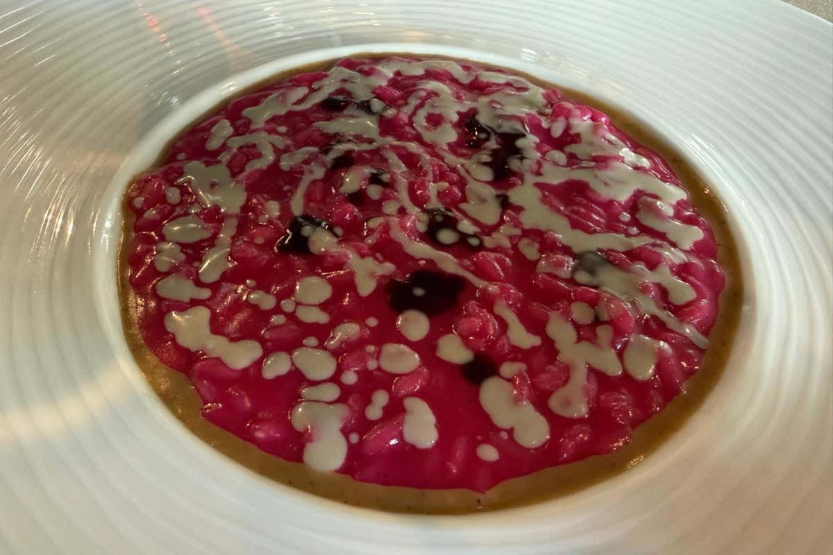 Risotto di rapa rossa e salsa di gorgonzola "Evoluzione"