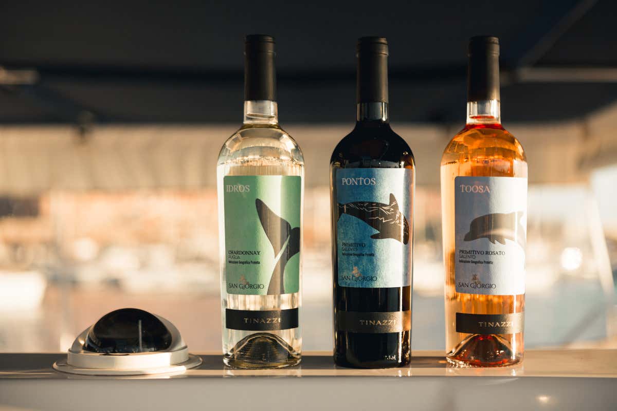 Un progetto con Jonian Dolphin Conservation: Cantina San Giorgio adotta 3 cetacei