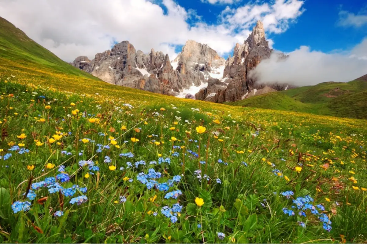Estate in montagna? Ecco le offerte da cogliere al volo