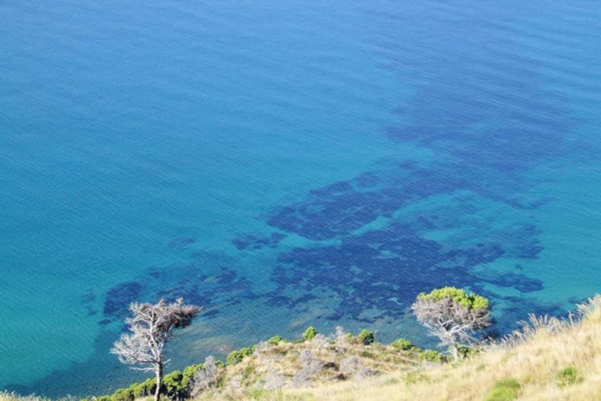 Bandiere Blu: sono 226 le new entry. Ecco tutte le spiagge italiane premiate