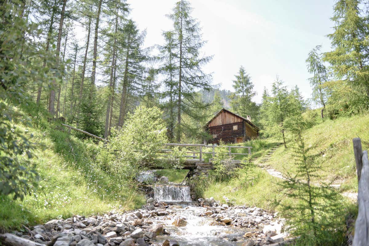 La natura che circonda San Vigilio