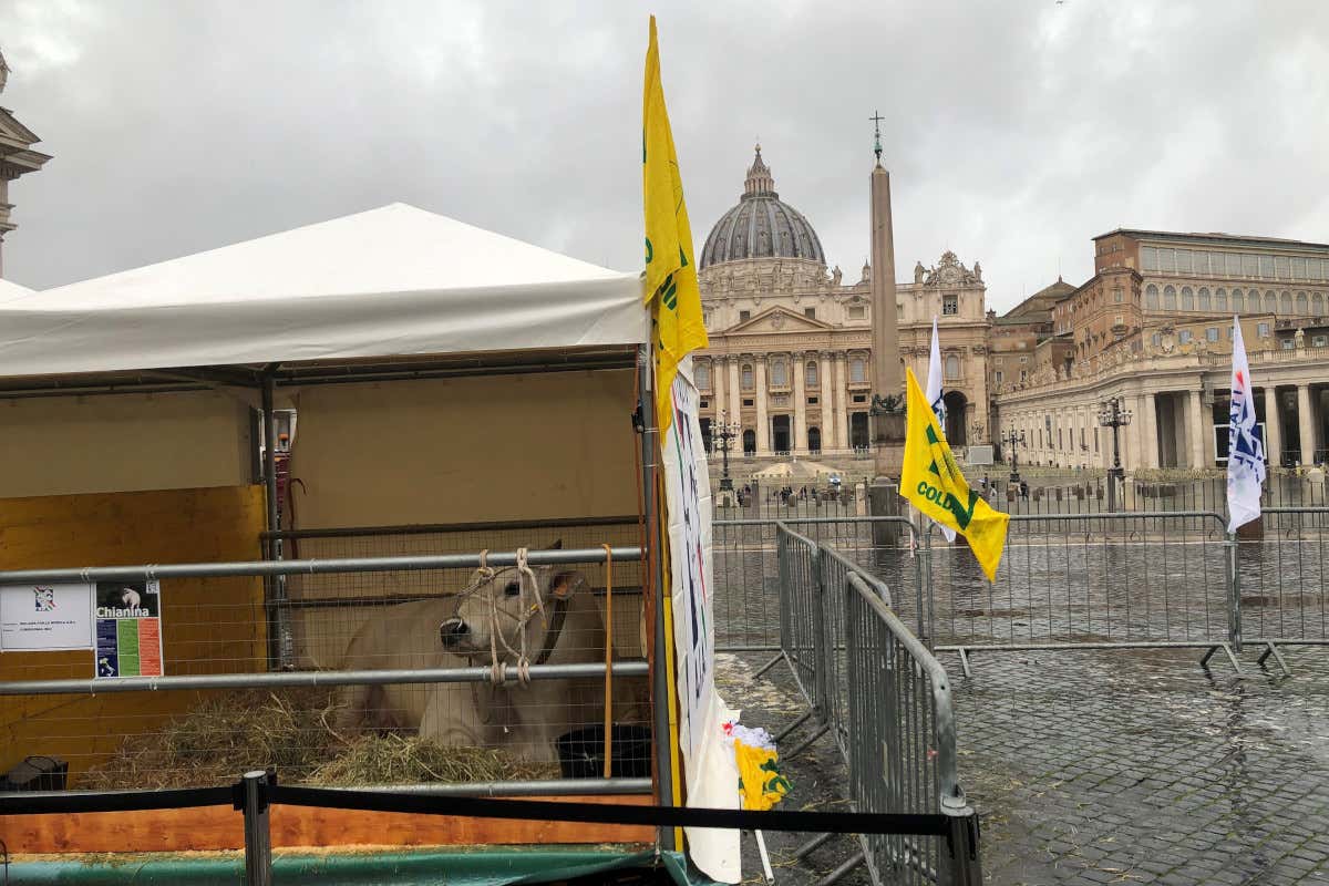 Mucche e animali in piazza a Roma per la benedizione di Sant&rsquo;Antonio Abate 