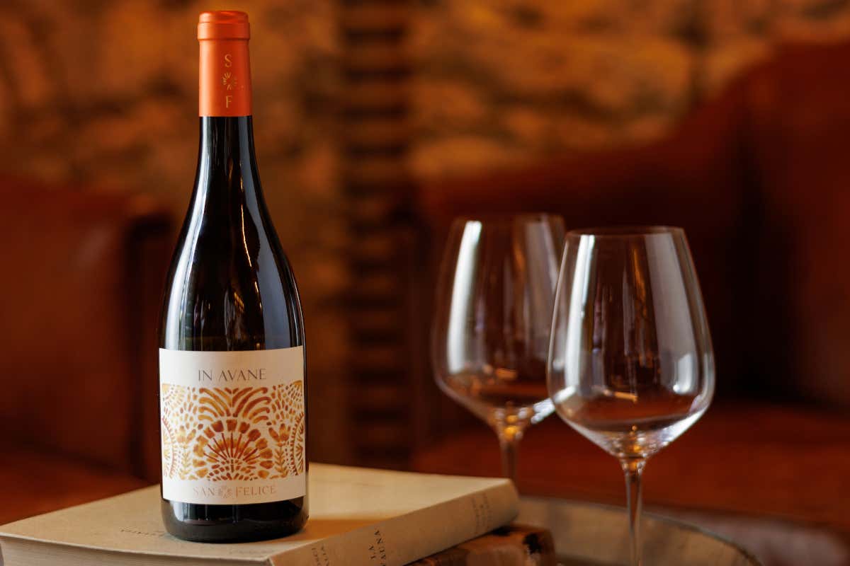 In Avane Chardonnay, altra referenza di punta del progetto Vitiarium