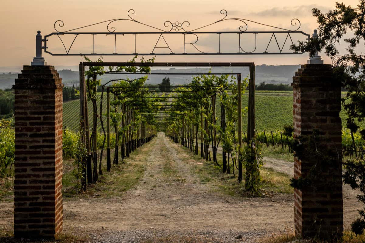 Il progetto Vitiarium di San Felice, sintesi di decenni di studio del Chianti Classico