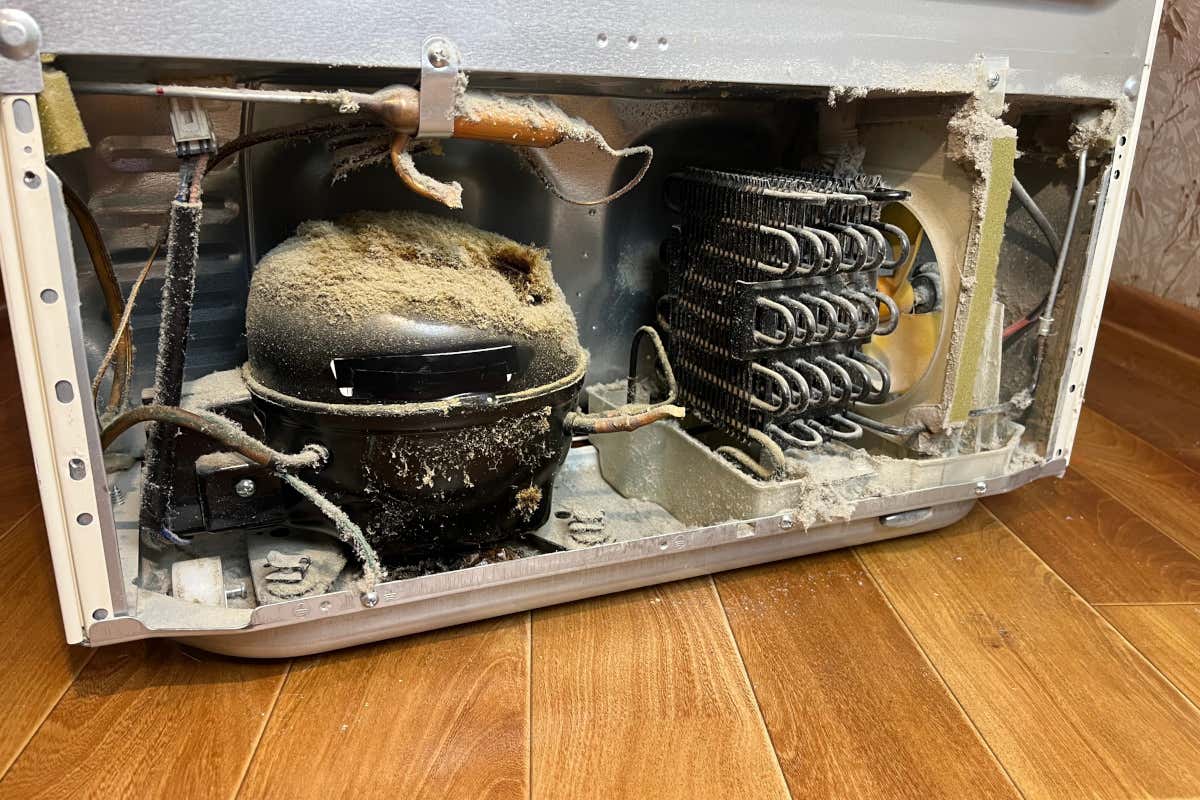 I motori delle celle frigorifere sono spesso dimenticati e vedono l'accumularsi di polvere che può compromettere il funzionamento dell'impianto