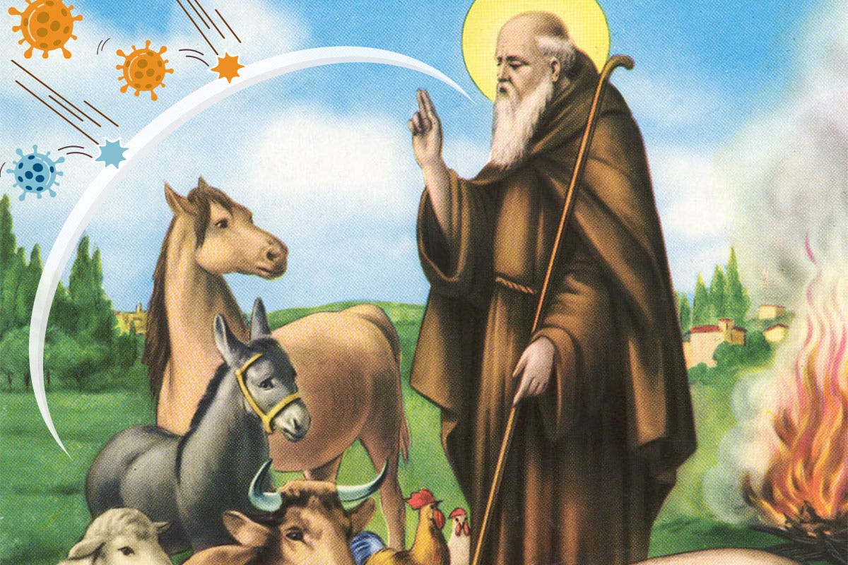 Il 17 gennaio si celebra Sant’Antonio Abate, santo protettore degli animali 