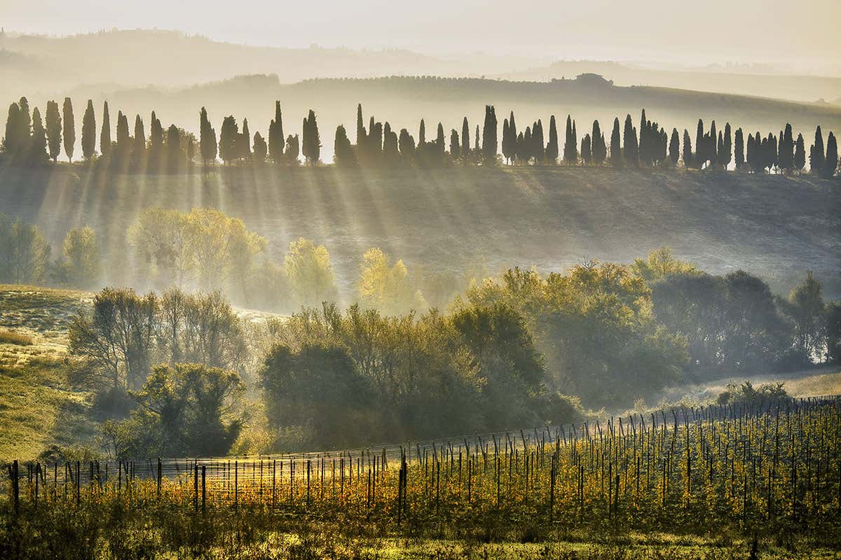 Santa Margherita: per il futuro vini meno strutturati e investimenti negli Usa