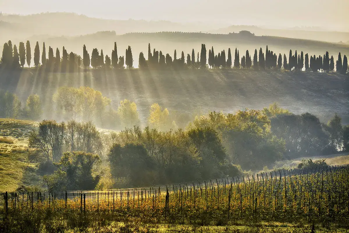 Le sfide&nbsp; di Ais Toscana: &ldquo;Apertura al territorio, condivisione e formazione continua&rdquo;
