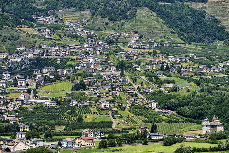 (Sapori di Primavera Scoprire l’Aprica bella e buona)