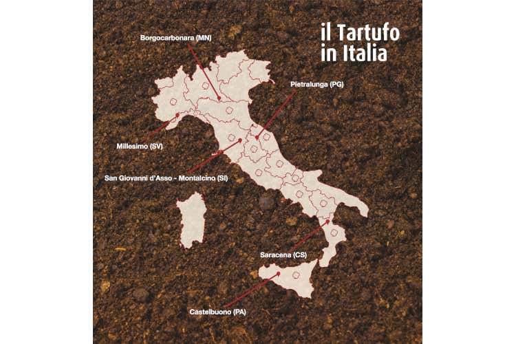 Associazione Nazionale Città del Tartufo La bellezza di Saracena in Calabria e del suo tartufo uncinato Associazione Nazionale Città del Tartufo La bellezza di Saracena in Calabria e del suo tartufo uncinato