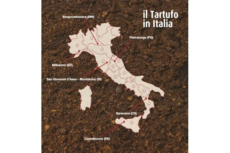 Associazione Nazionale Citt&agrave; del Tartufo La bellezza di Saracena in Calabria e del suo tartufo uncinato