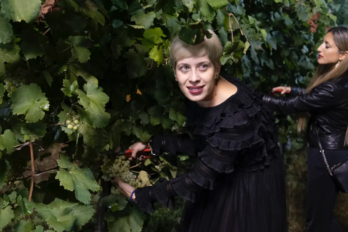 Sarah Dei Tos alla guida dall'azienda vitivinicola e agriturismo La Vigna di Sarah (Tv) DA FINIRE - Vendemmia Notturna