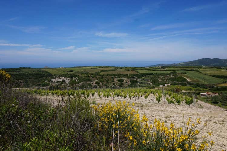 (Sardegna, mare cristallino ma non solo Nell’entroterra tesori tutti da scoprire) (Sardegna, mare cristallino ma non solo Nell’entroterra tesori tutti da scoprire)