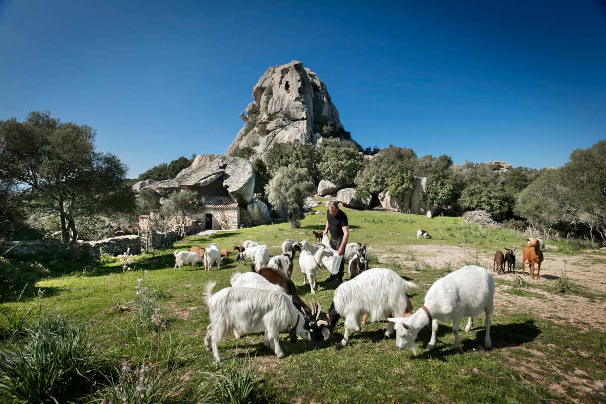 In Costa Smeralda tra resort e ristoranti da vivere anche in autunno