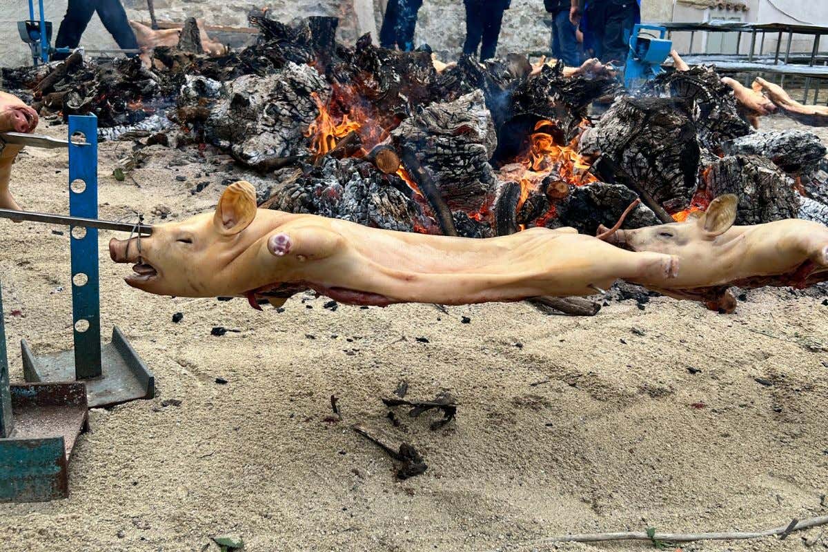 Saboris Antigus, quando cibo e ospitalità si fondono in nome della tradizione