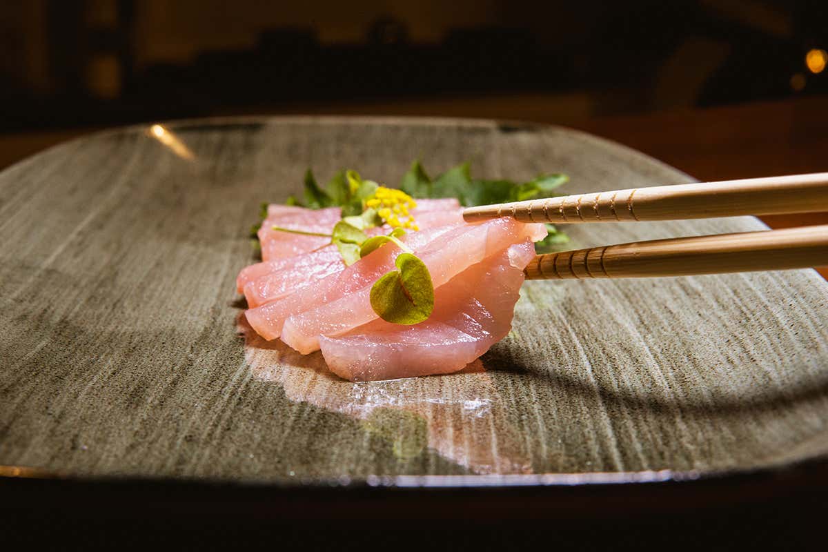 Sashimi Crudo Bar, più di un ristorante: una piccola “rada” sul mare
